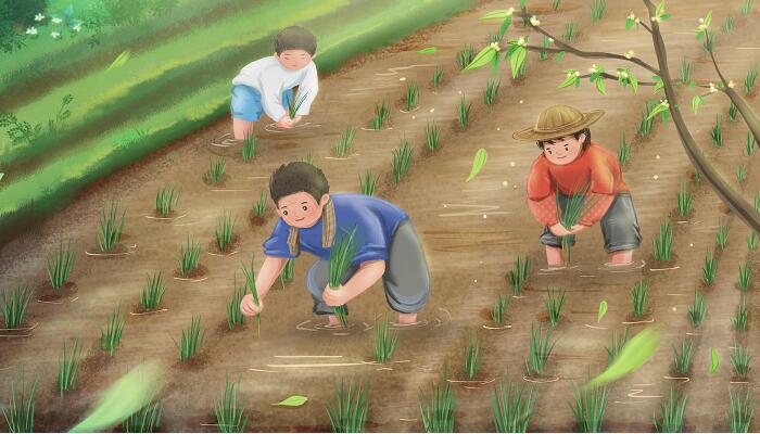 稚子弄冰和四时田园杂兴的异同 杨万里的稚子弄冰描写的是什么季节