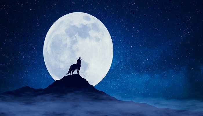 意将隧入以攻其后也以是什么 意将隧入的意什么意思