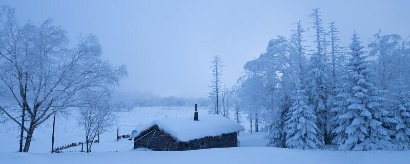 忽如一夜春风来千树万树梨花开原本是形容什么　忽如一夜春风来 千树万树梨花开用来形容什么