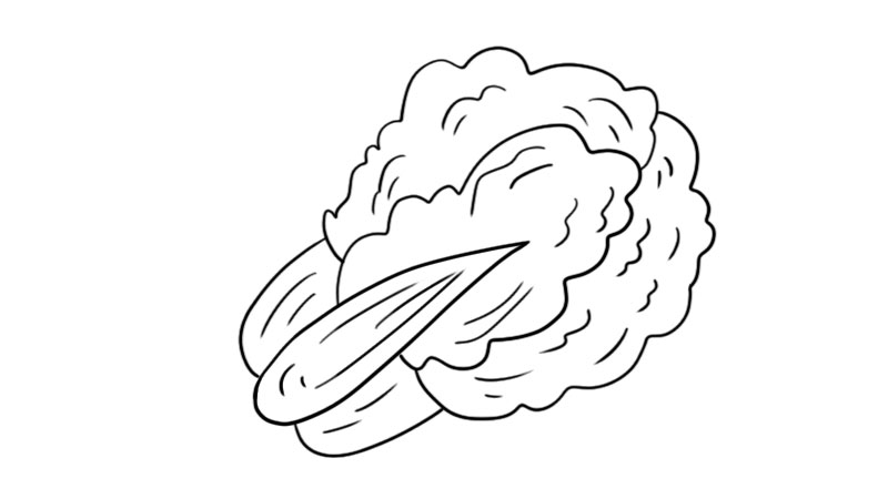 蔬菜简笔画的步骤  蔬菜简笔画的画法