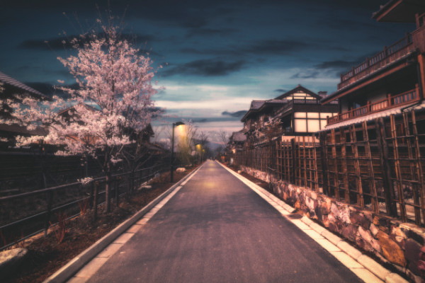 将至桐城古诗注音 将至桐城古诗意思