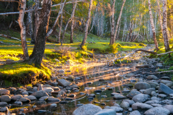 兰溪棹歌拼音 兰溪棹歌古诗鉴赏
