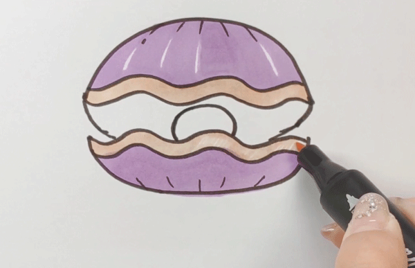 贝壳简笔画