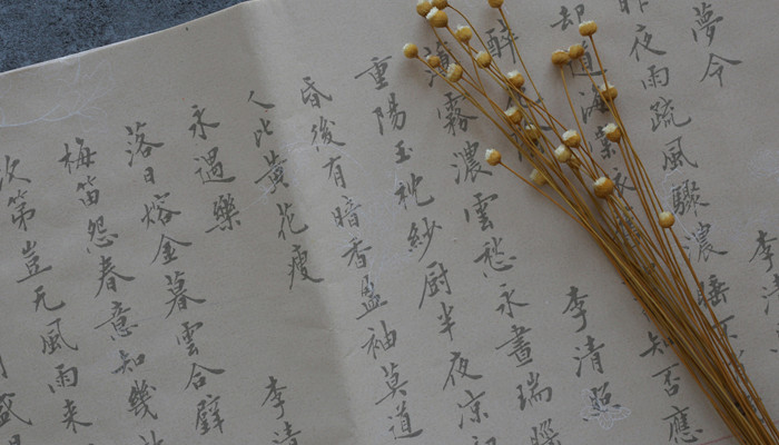 愿海晏河清,潮落江宁的意思 愿海晏河清,潮落江宁的意思是什么