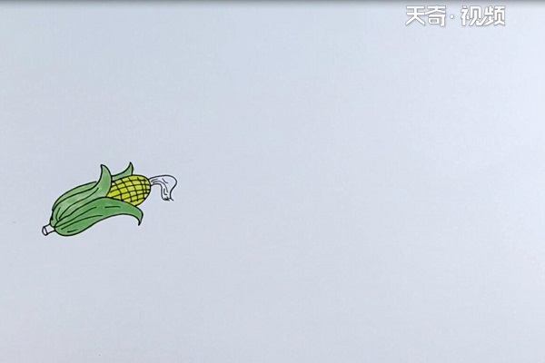 玉米简笔画