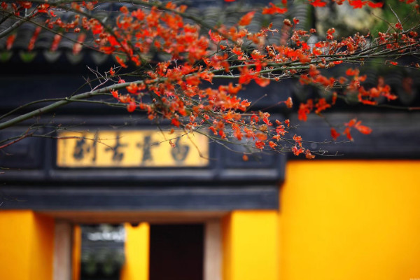 题花山寺壁古诗注音版  题花山寺壁古诗翻译