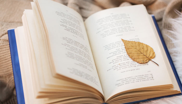 夜色这首诗告诉我们一个什么道理 夜色这首诗告诉我们的道理