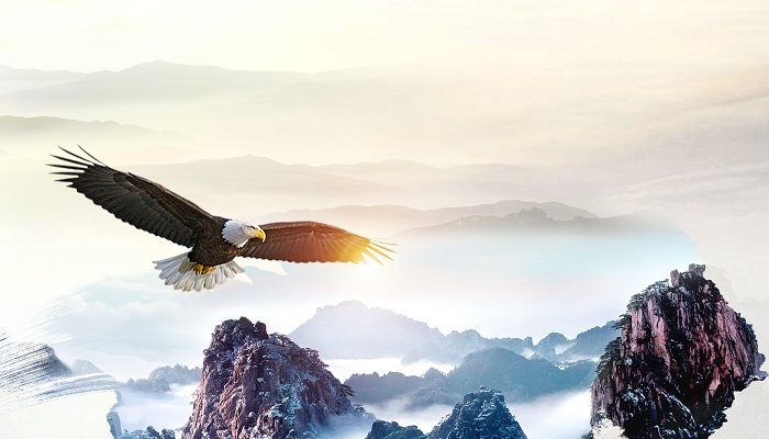 万类霜天竞自由其体裁 万类霜天竞自由的体裁是什么