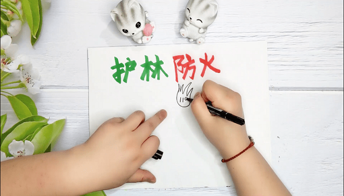 护林防火手抄报五年级 护林防火手抄报五年级画报