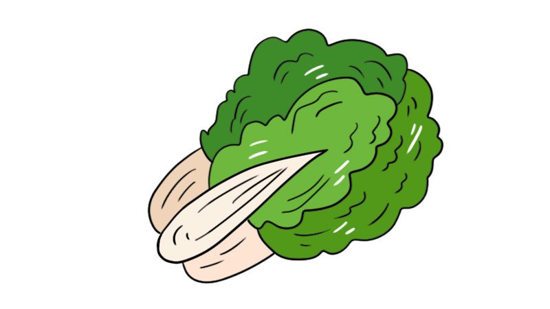 蔬菜简笔画的步骤  蔬菜简笔画的画法