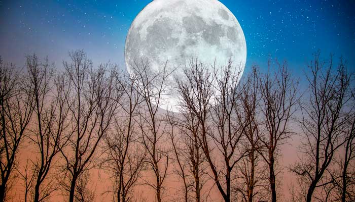 错把路灯当月亮表达什么意思 错把路灯当月亮什么意思