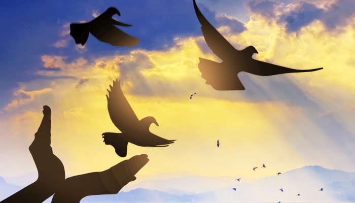 美不胜收的意思 美不胜收怎么用