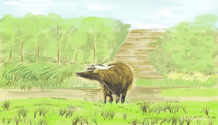 四时田园杂兴是什么意思这首诗 四时田园杂兴这首诗的意思