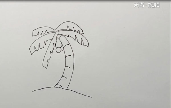 椰子树简笔画