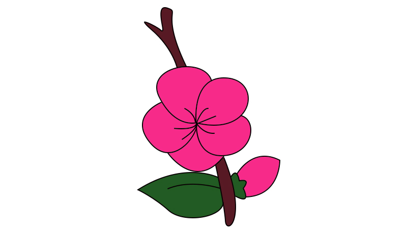 梅花简笔画教程  梅花简笔画画法