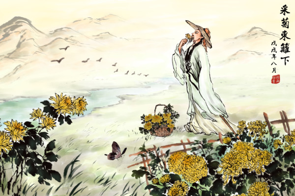 采菊东篱下是什么季节 采菊东篱下什么意思