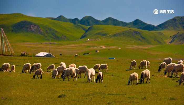 赋得古原草送别的意思 赋得古原草送别题目什么意思