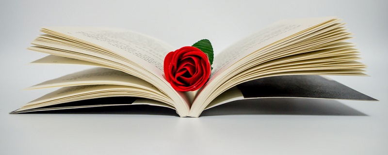 半真半假打一字 半真半假打一字是什么字