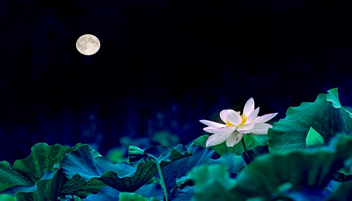 池上描写的景物有哪些 池上描写的是什么情景 