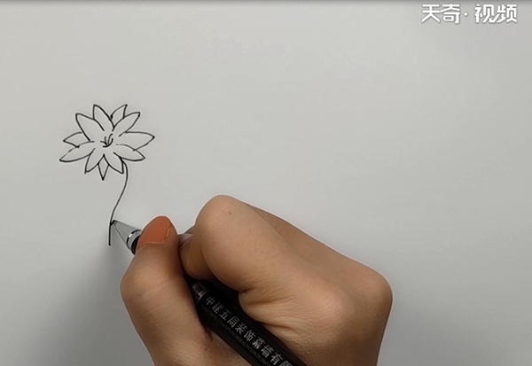 花朵简笔画