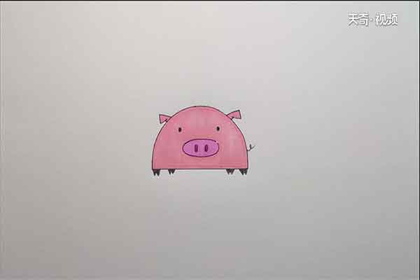 小猪简笔画