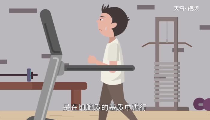 有氧呼吸第一阶段场所 有氧呼吸第一阶段场所是哪里
