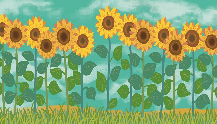 爱情友情亲情的说说 爱情友情亲情的说说有什么