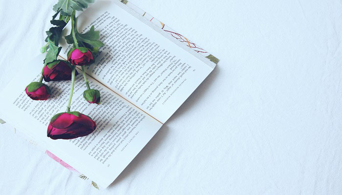 炽读chi还是zhi 炽怎么读