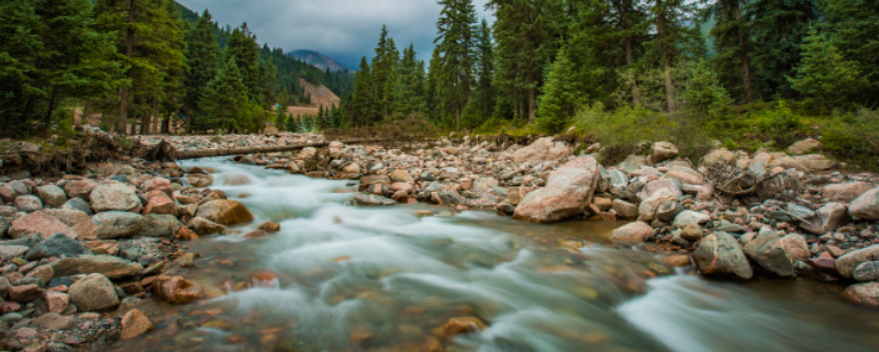 兰溪棹歌拼音 兰溪棹歌古诗鉴赏