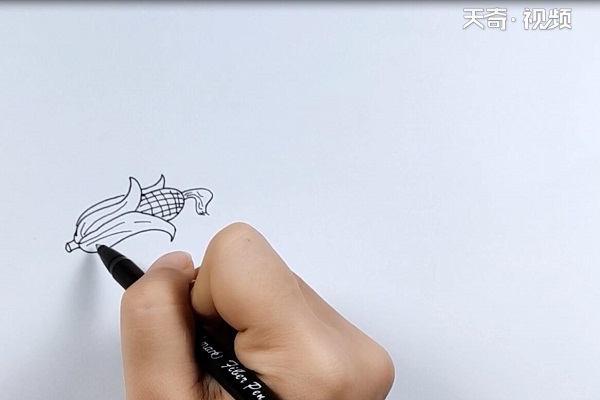 玉米简笔画