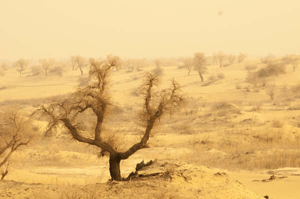 天净沙秋思古诗带拼音 天净沙秋思的诗意