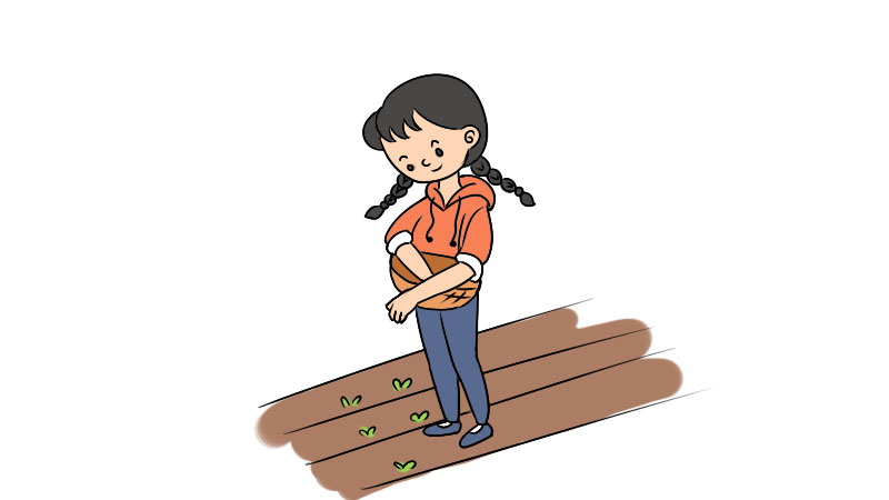芒种的简笔画画法  芒种的简笔画怎么画