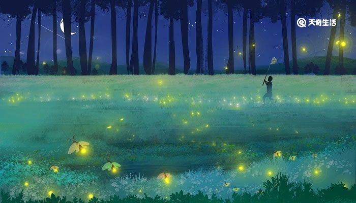 流萤诗句 含萤的诗句