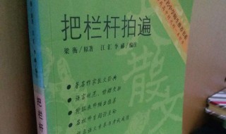 把栏杆拍遍读后感（梁衡把栏杆拍遍读后感）