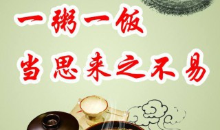 为什么要节约粮食（为什么要节约粮食200字）