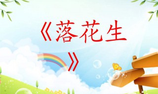 落花生读后感（落花生读后感400字）