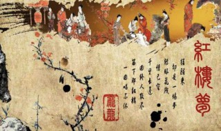 红楼梦的读后感 红楼梦的读后感800字左右