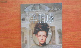 羊脂球读后感（羊脂球读后感800字）