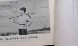 在人间读后感 在人间读后感100字