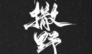 撒野讲的一个什么故事（撒野讲的一个什么故事适合初中看么）