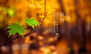 秋分的诗句（秋分的诗句 古诗）