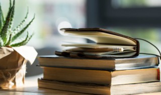 大学专业星级是什么意思（大学专业星级是什么意思呀）