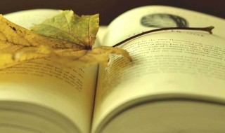 这片土地是神圣的写作背景（《这片土地是神圣的》表达了什么）