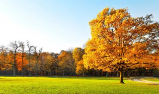 描写秋天的散文（描写秋天的散文名家名篇）