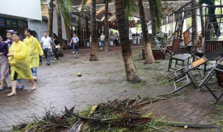 台风来了怎么写心得体会（台风来了怎么写心得体会作文）