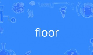 floor是什么意思（英语floor是什么意思）