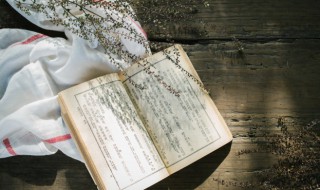 翰的意思 维申及甫维周之翰的意思