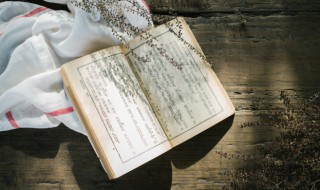 人间有味是清欢什么意思（人间有味是清欢.苏轼《浣溪沙》翻译）