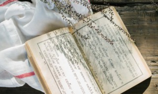 甚是什么意思（甚好是什么意思）