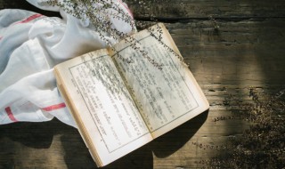 列那狐的故事作者简介 列那狐的故事作者简介20字
